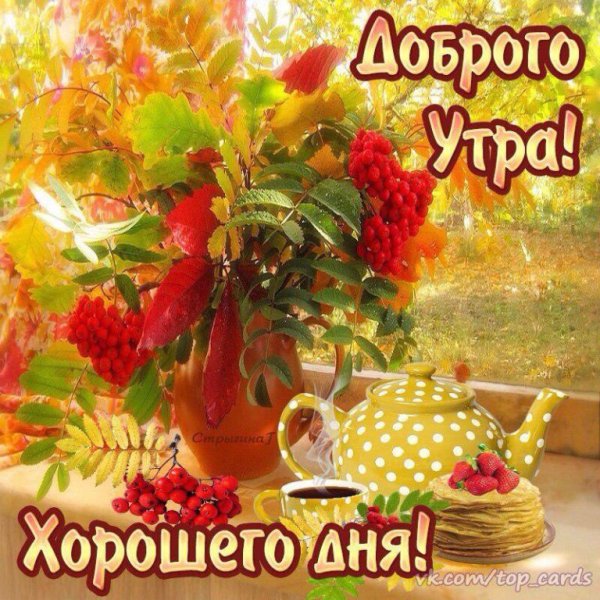 Открытка с добрым утром хорошего дня