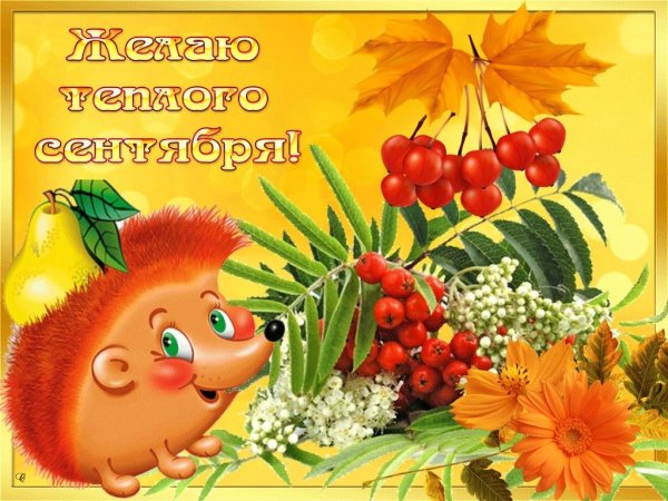 Доброго осеннего дня