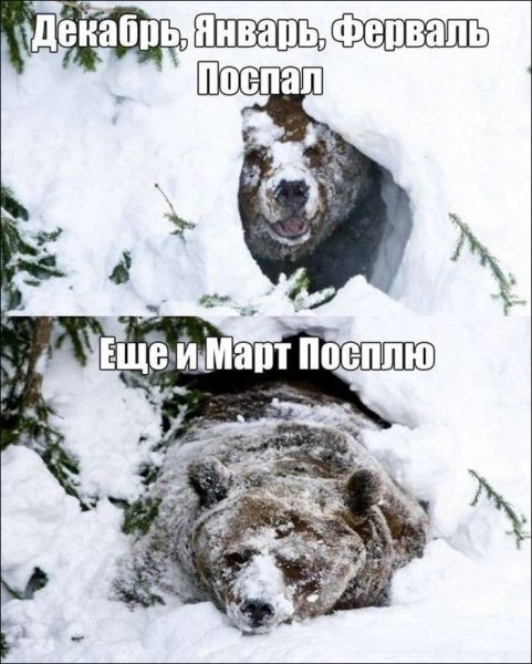 Шутки про снег весной