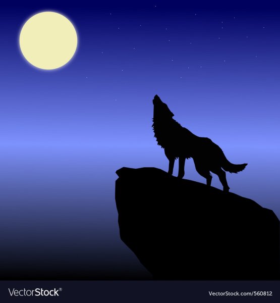 Волк на обрыве воет на луну