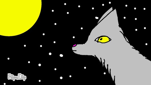 Волк воет на луну прикол