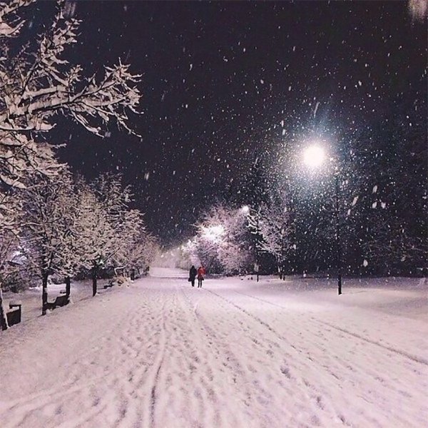 Красивые фразы про зиму