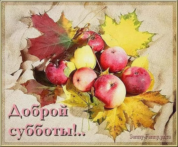 С добрым осенним субботним утром