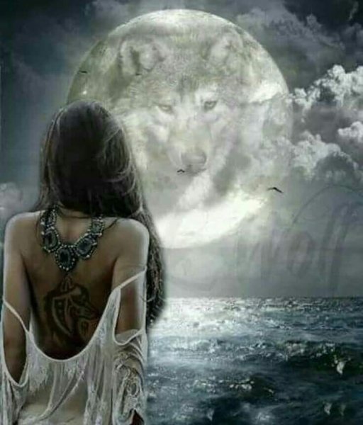 Волчица и девушка