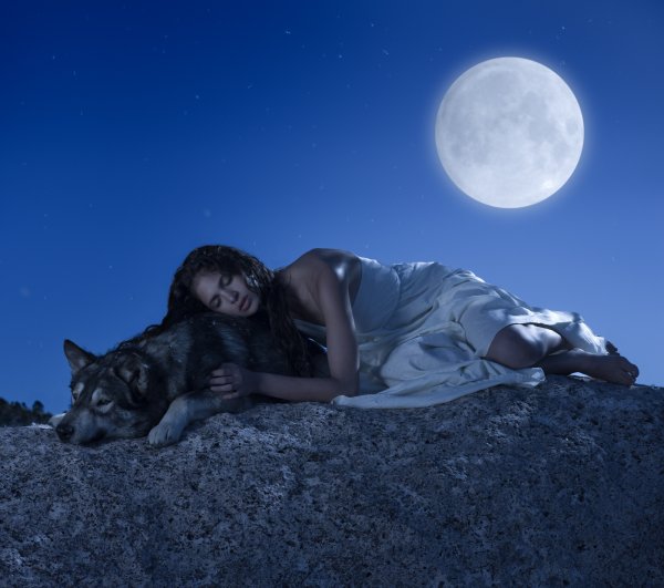 Спокойной ночи волк