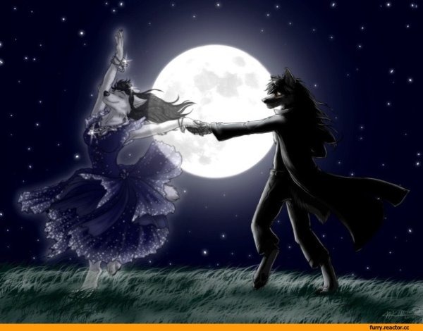 Спокойной ночи Луна волк