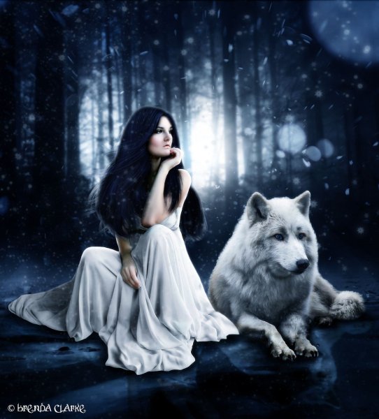 Белый волк и девушка