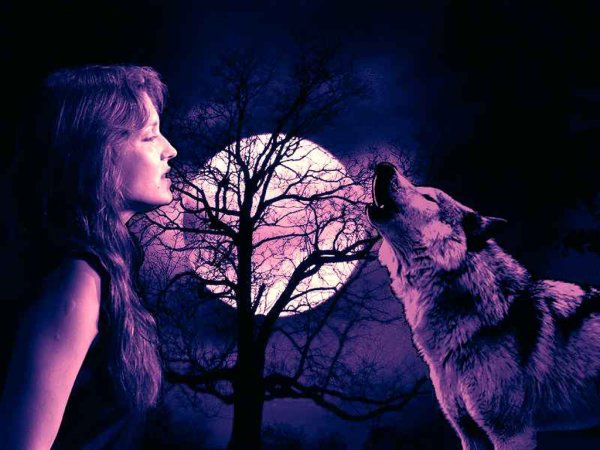 Одинокий волк и девушка