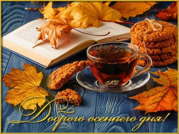 Хорошего дня осень
