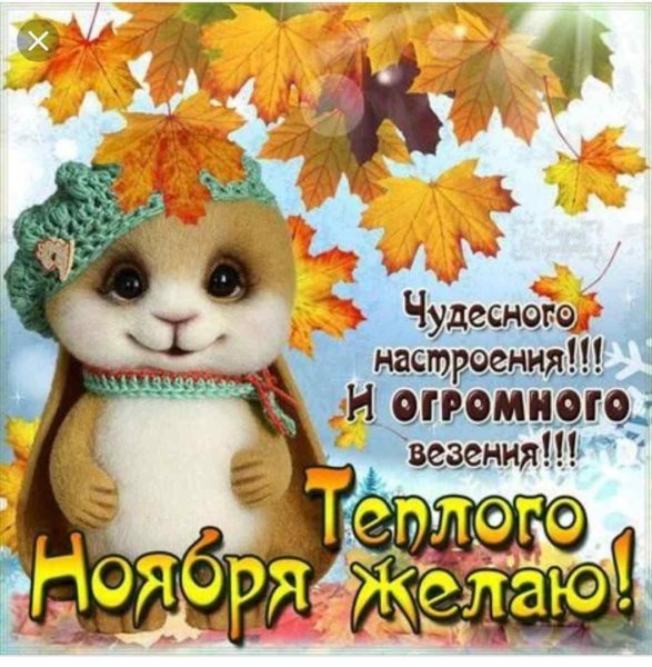 С добрым ноябрьским утром