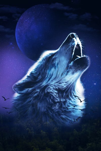 Воющий волк