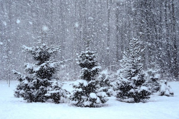 Падающий снег