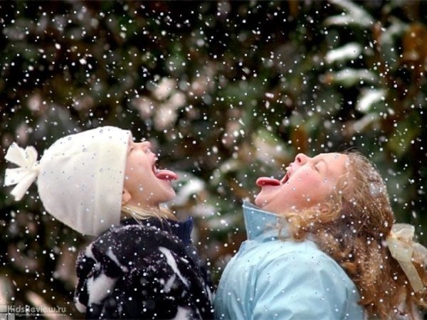 Первые снежинки