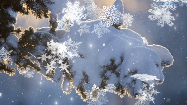 Снежинки падают на землю