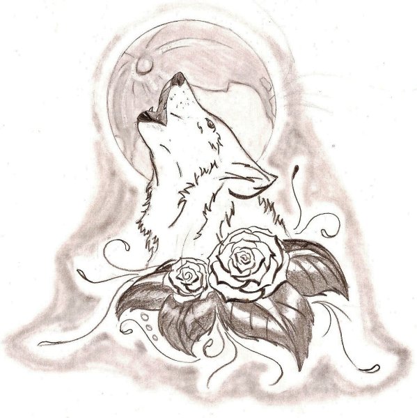 Рисунок волка для срисовки