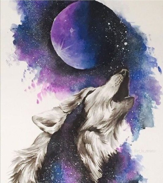 Волк рисунок акварелью