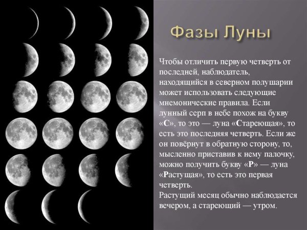 Первая и последняя четверть Луны