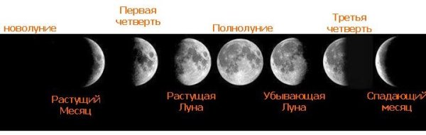 Фаза Луны новолуние убывающая