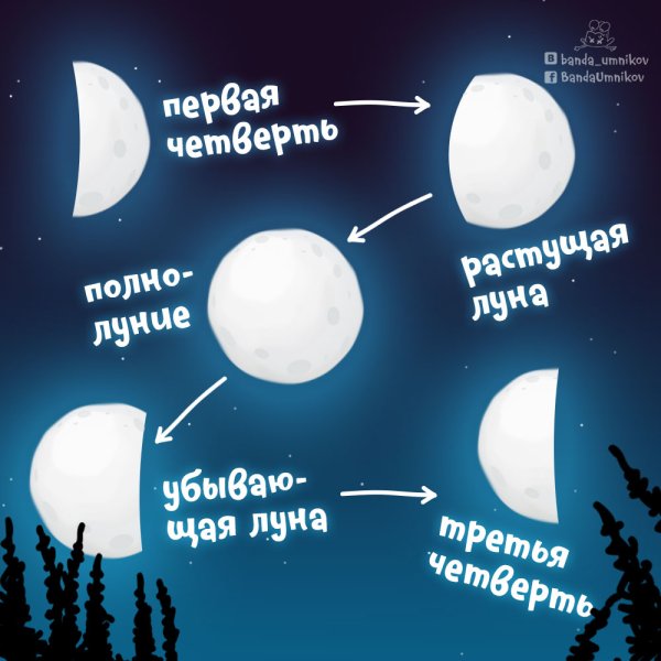 Фазы Луны