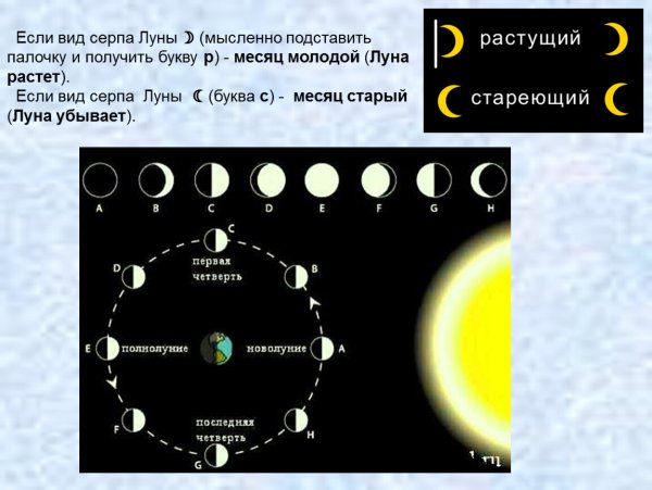 Схема лунного месяца