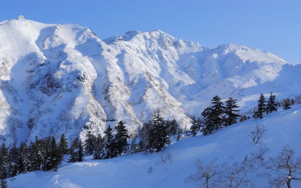 Абхазия горы зима лес