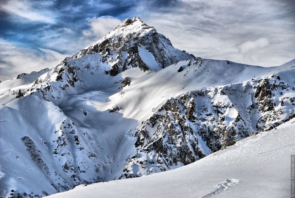 Домбай Алибек белый Барс