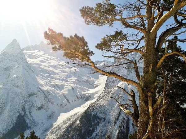 Кавказ зимой Домбай