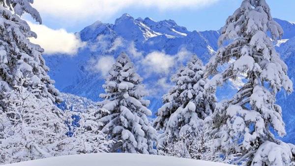 Красная Поляна Сочи природа зимой