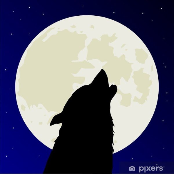 Голова волка воющего на луну