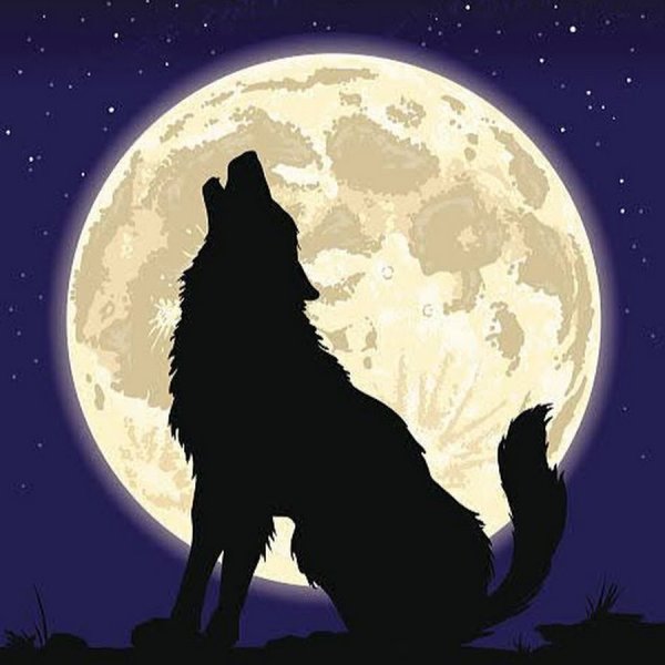 Волк воет на луну карандашом