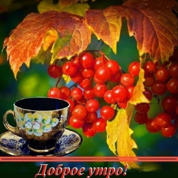 Открытки с добрым утром осенние
