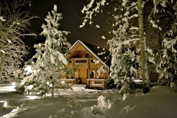 Новогодний домик в лесу