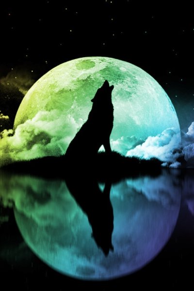 Волк под луной