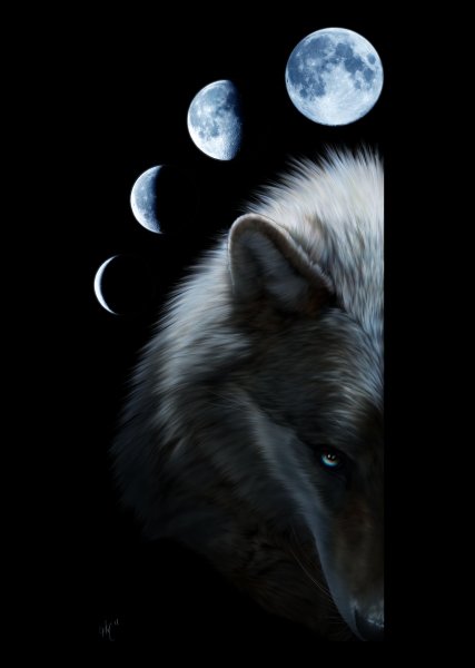 Одинокий волк