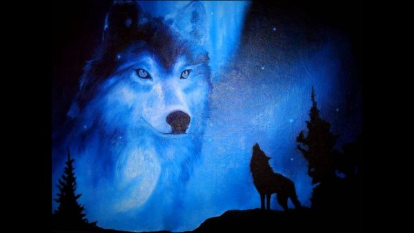 Волк с голубой шерстью