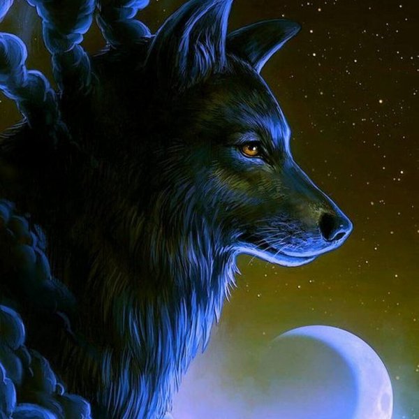 Jonas Jödicke волк