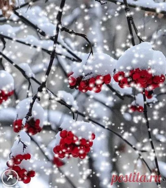 Зима снег идет