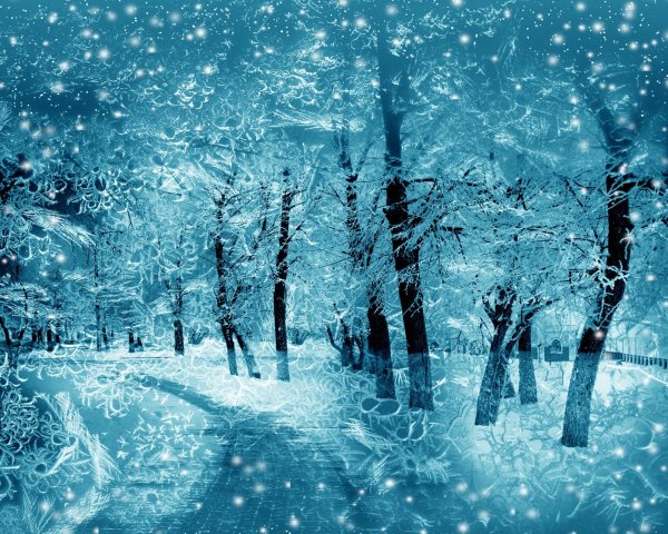 Сказочный зимний лес