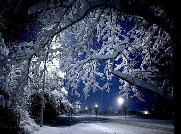 Зимний ночной пейзаж