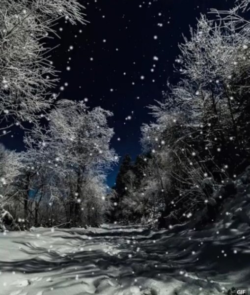 Анимированный зимний лес