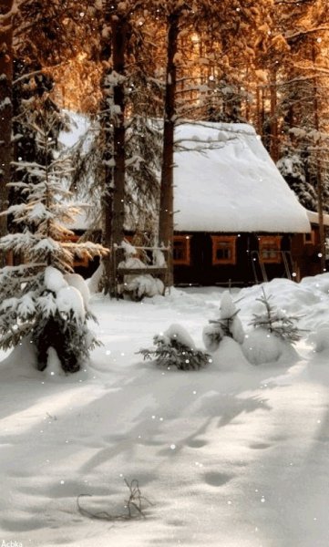 Утро в Снежном лесу