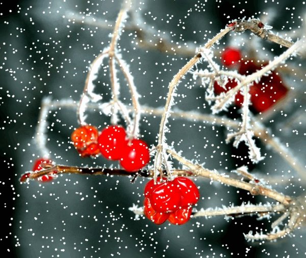 Анимированный снегопад