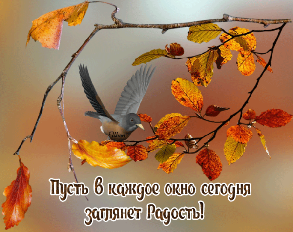 Доброго осеннего дня и Божьей