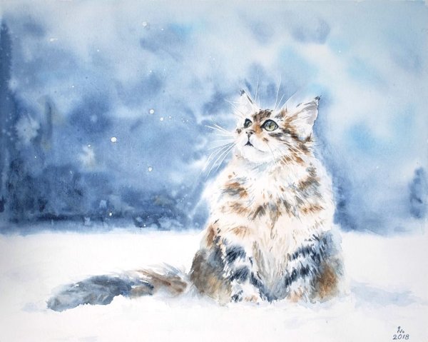 Кот в снегу живопись