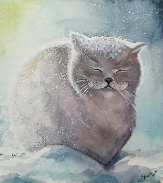 Снежный кот