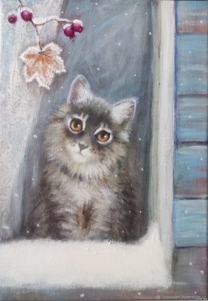 Кошка на окошке зима