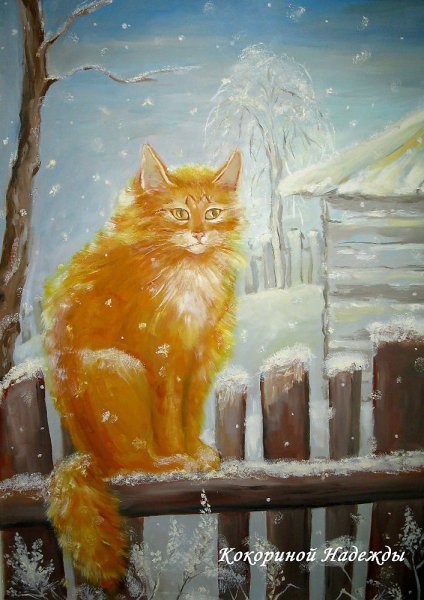 Зимний кот