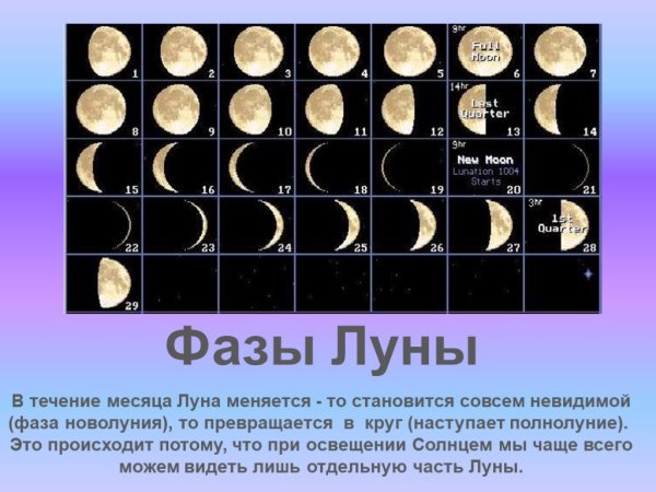 Фазы Луны