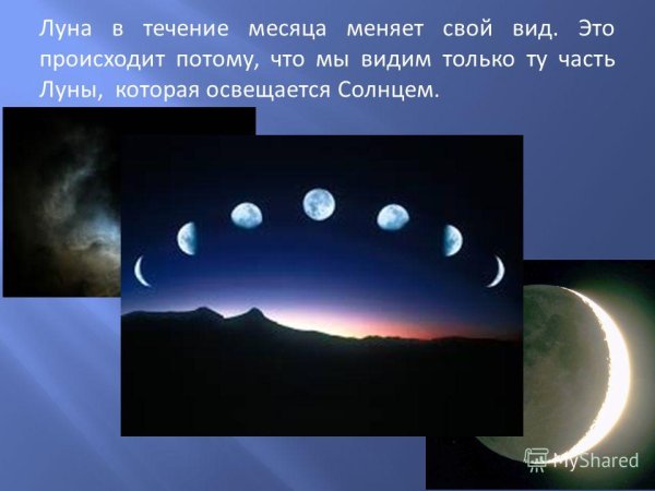 Луна в течение месяца