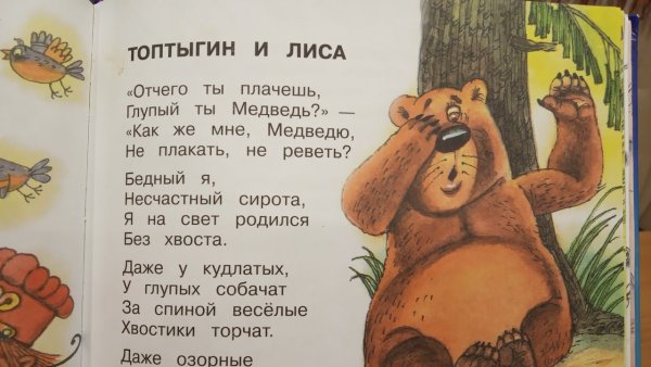 Топтыгин и лиса книга